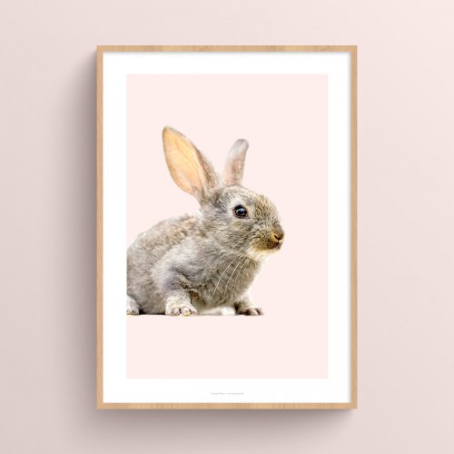 Affiche Lapin chambre de bébé : photo de lapereau sur fond pastel