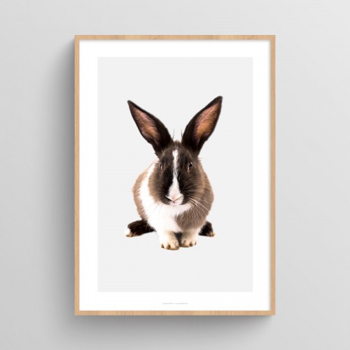 Poster Lapin : affiche photo couleur de lapin sur fond pastel Gris pastel JPG (fichier à imprimer soi-même) - Poster personnalisable sur mesure