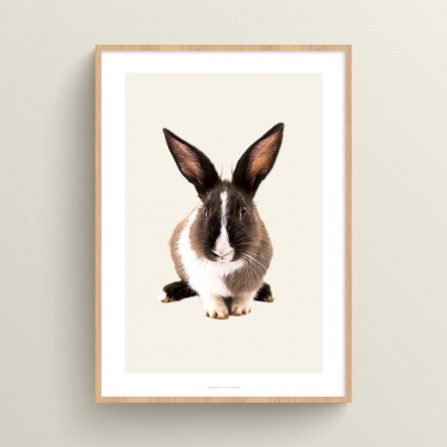 Poster Lapin : affiche photo couleur de lapin sur fond pastel