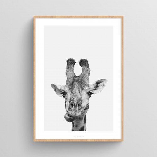 Affiche Girafe en noir et blanc : poster photo d'un portrait de girafe JPG (fichier à imprimer soi-même)