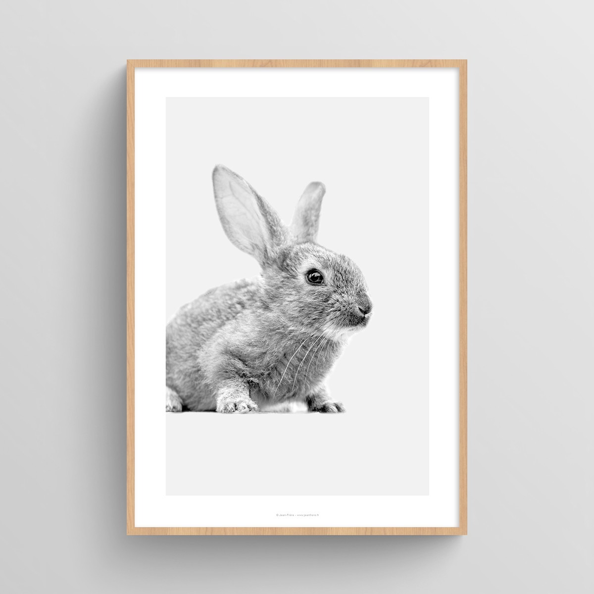 Poster Lapin chambre de bébé : photo noir & blanc d'un petit lapin JPG (fichier à imprimer soi-même)