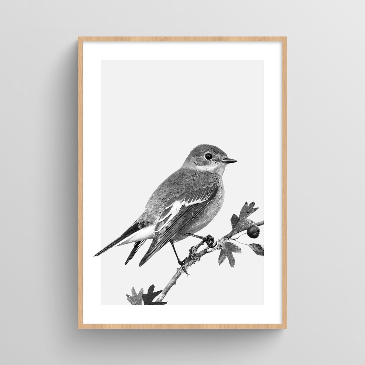 Poster Oiseau : affiche photo noir et blanc d'un petit oiseau JPG (fichier à imprimer soi-même)