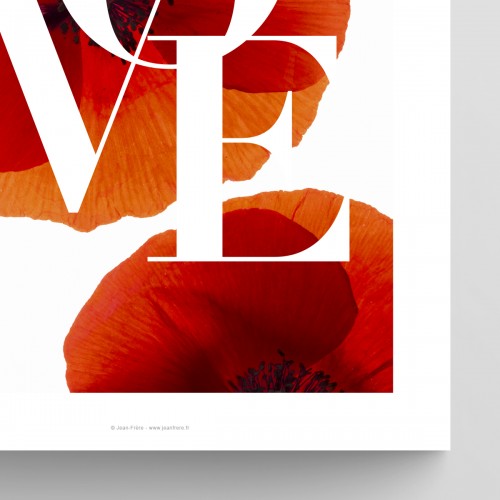 Poster citation Love sur coquelicot pour couple et déco florale romantique JPG (fichier à imprimer soi-même)