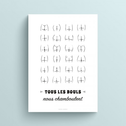 Affiche toilette citation humour "Tous les bouls nous chamboulent" avec illustration fesses pour WC JPG (fichier à imprimer soi-même)